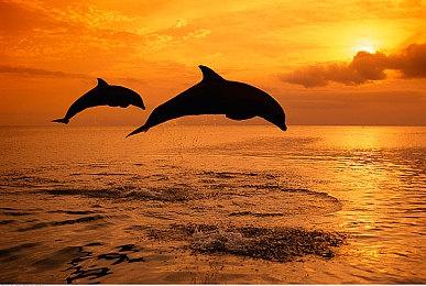 《忍者神龟：施莱德的复仇》新预告 6人模式公布